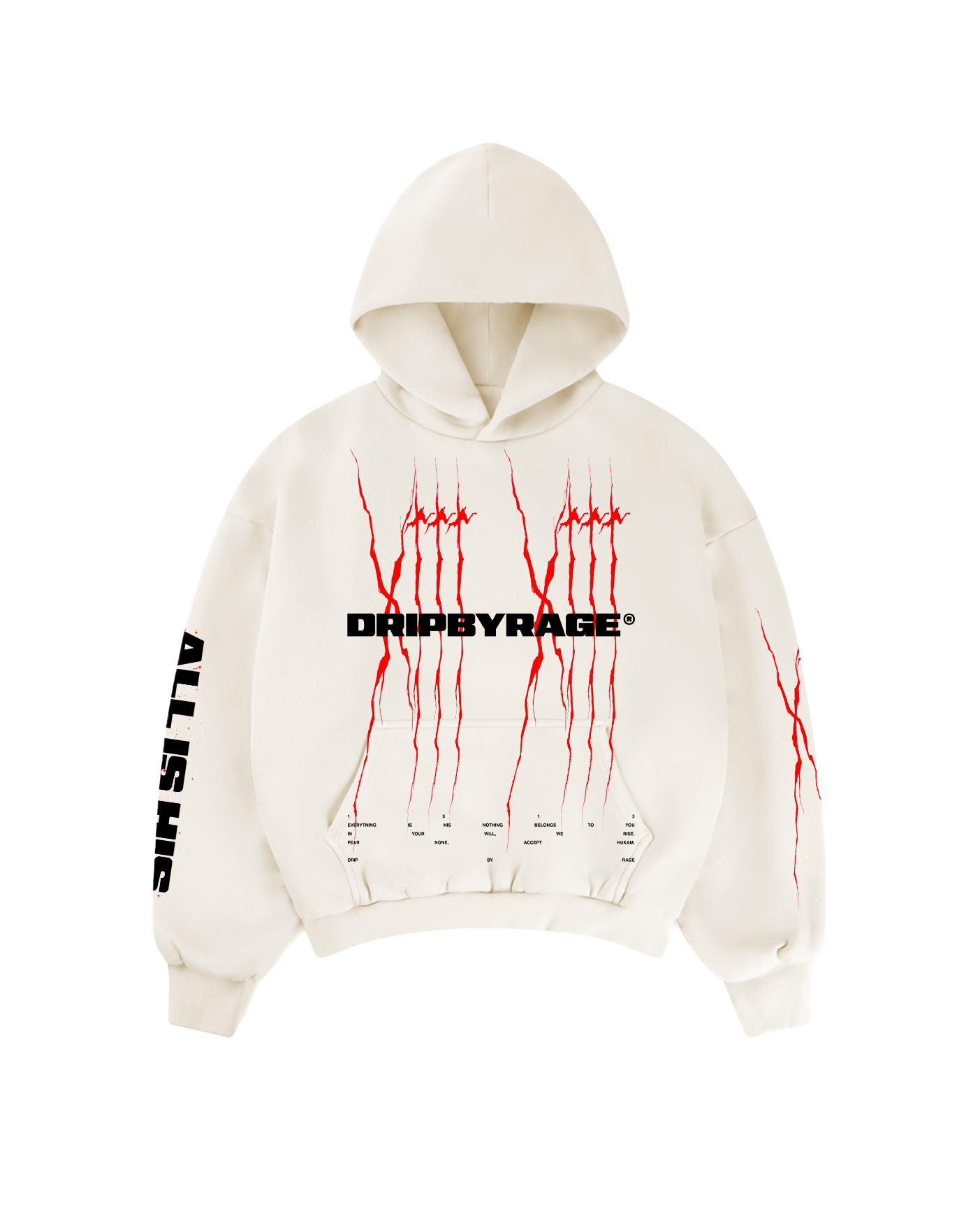 1313: ALL IS HIS SUN FADED BOXY HOODIE