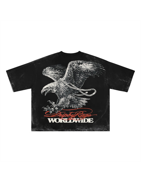 VVS BAAJ FADED T-SHIRT