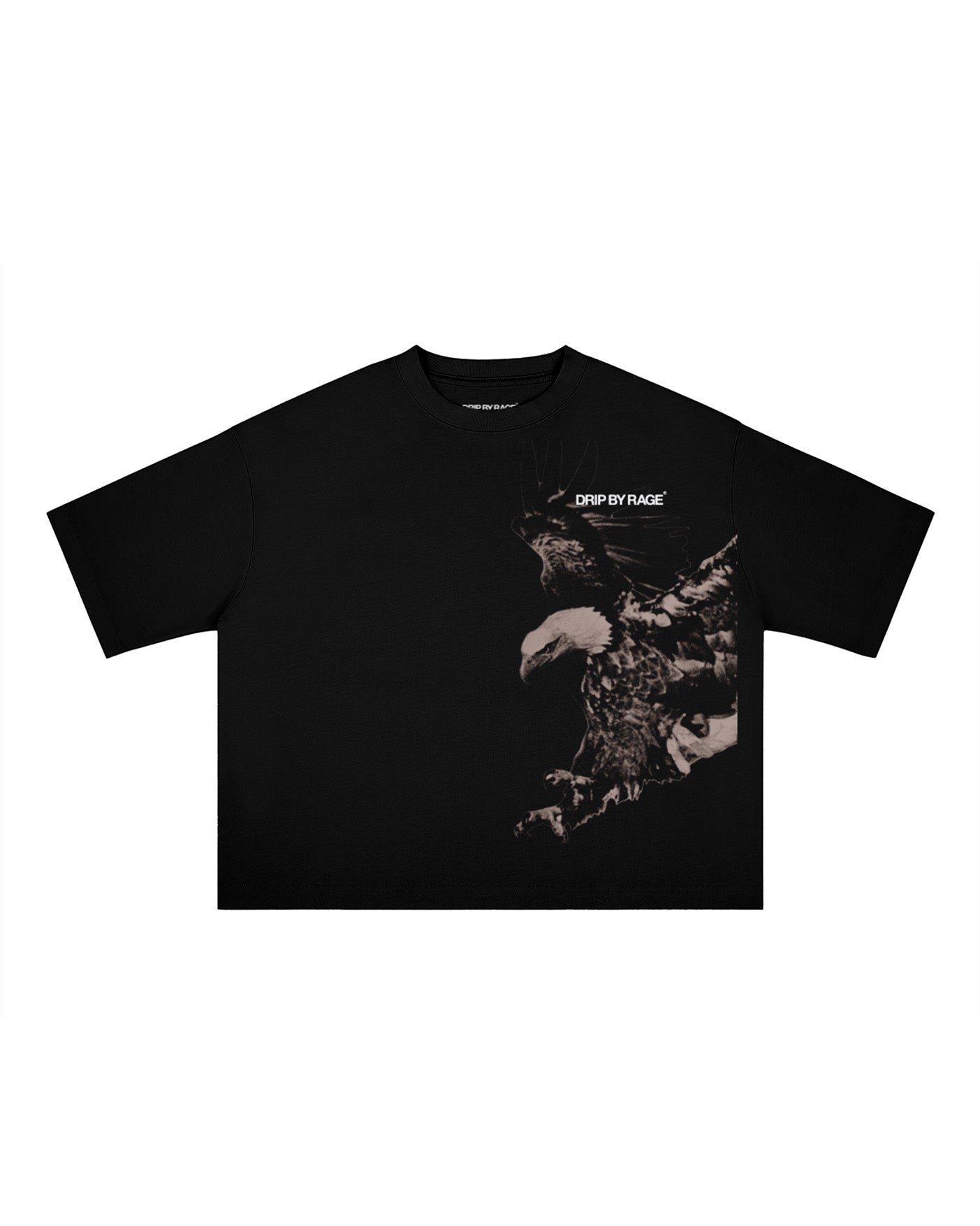 ARCHITECTURE EAGLE BOXY T-SHIRT