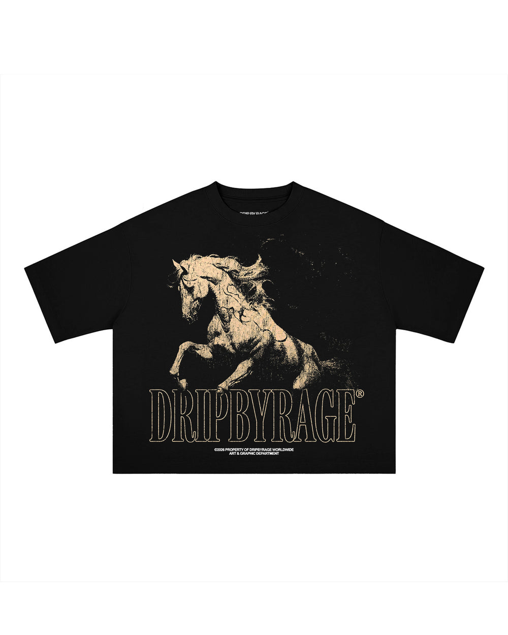 BADAL BOXY T-SHIRT