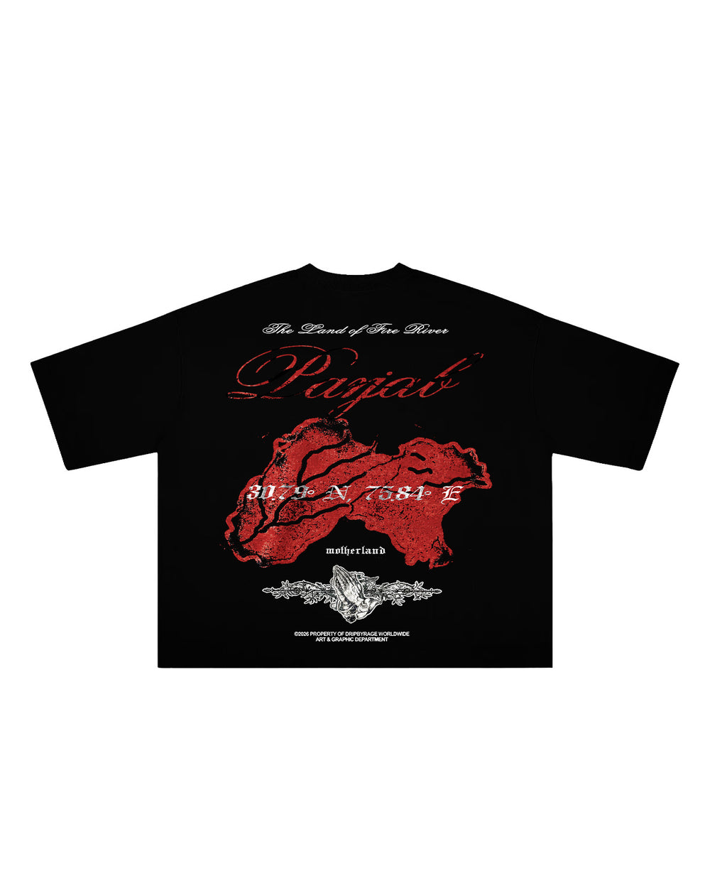PANJAB BLOOD BOXY T-SHIRT