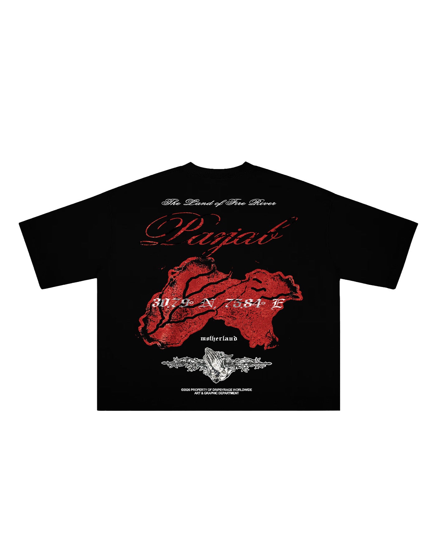 PANJAB BLOOD BOXY T-SHIRT