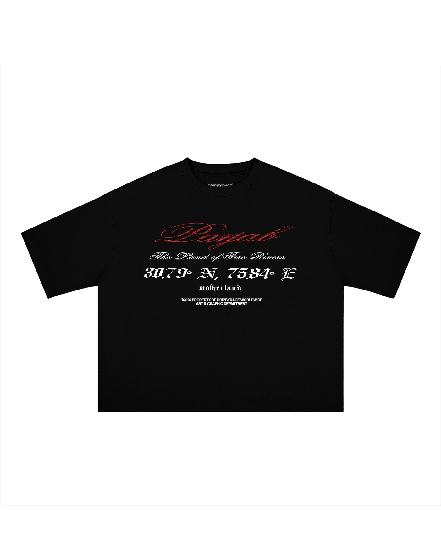 PANJAB BLOOD BOXY T-SHIRT