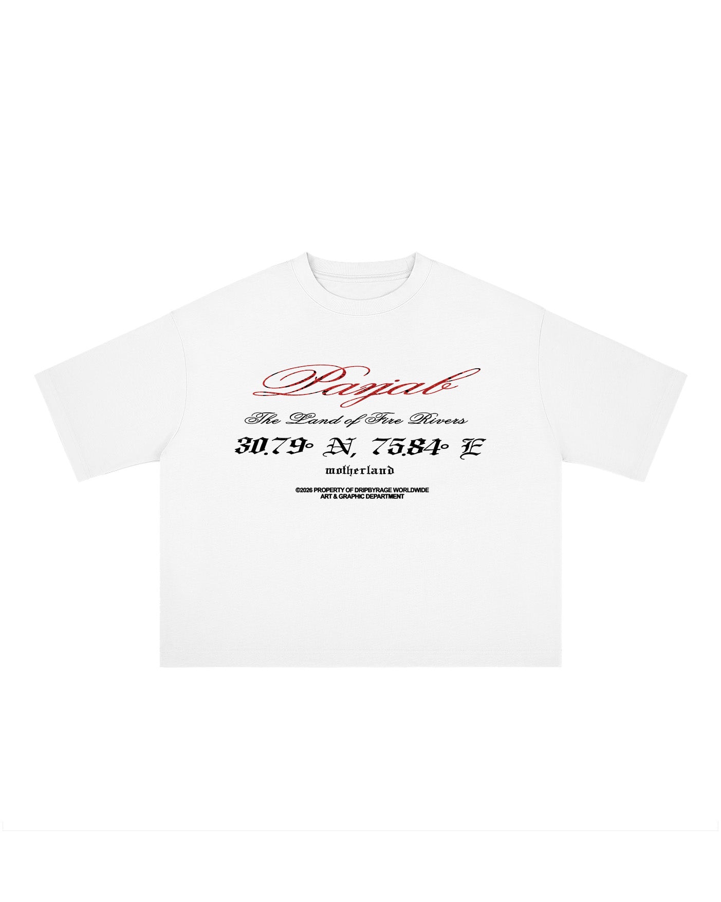 PANJAB BLOOD BOXY T-SHIRT
