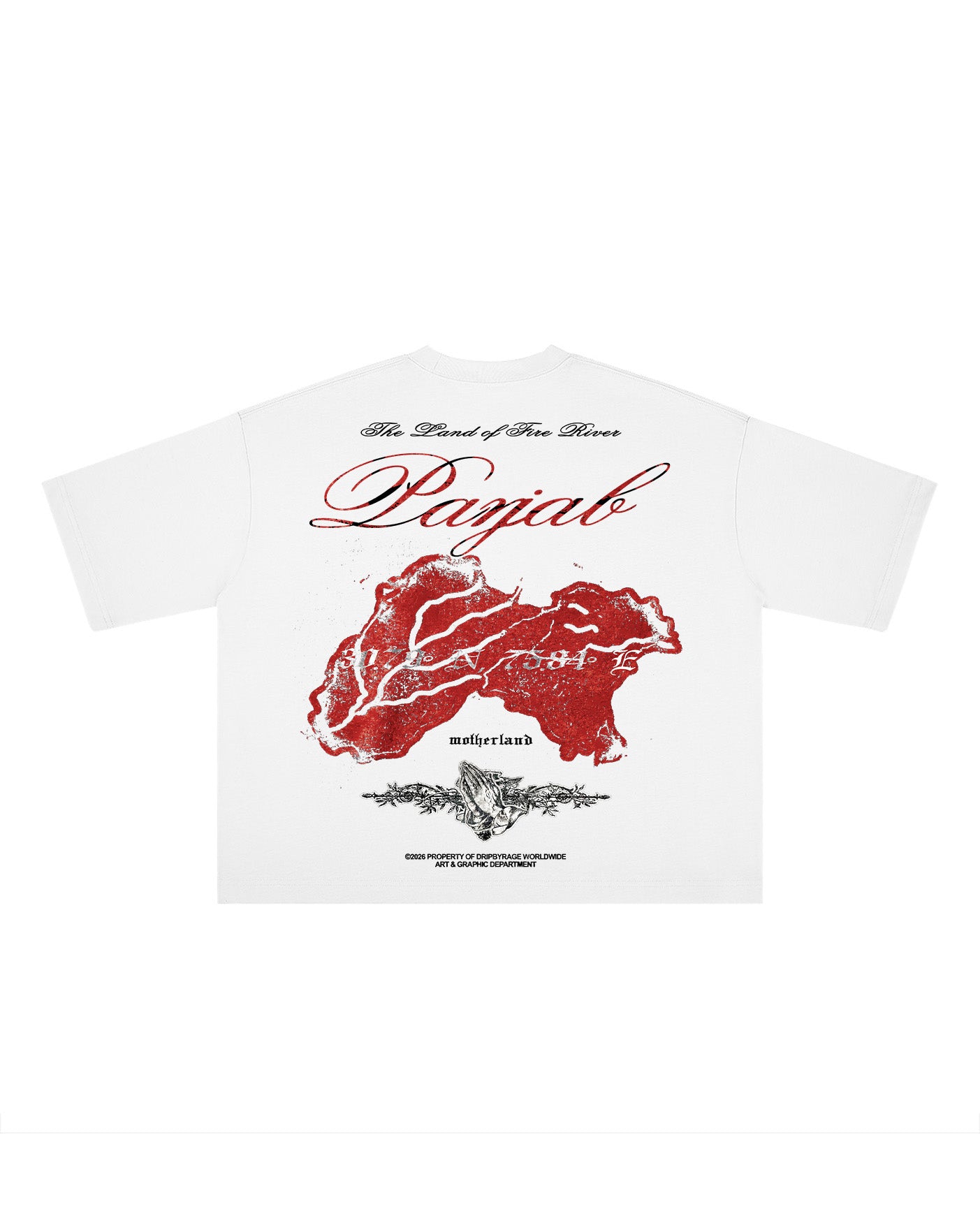 PANJAB BLOOD BOXY T-SHIRT
