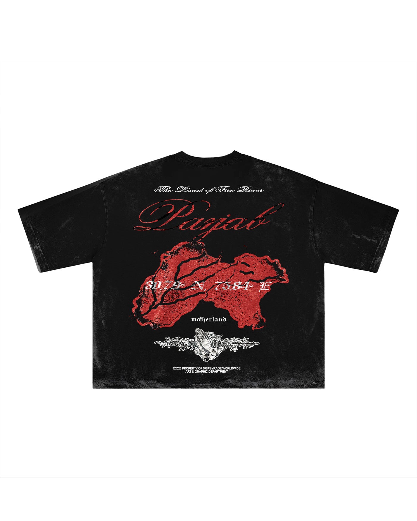PANJAB BLOOD FADED T-SHIRT