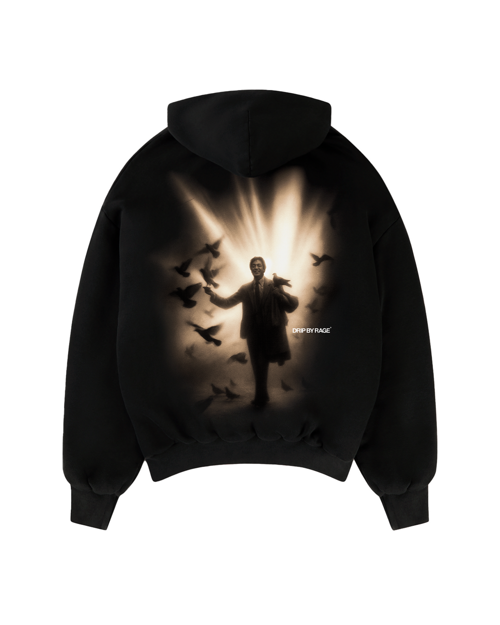 SHIV BIRDS SUN FADED BOXY HOODIE