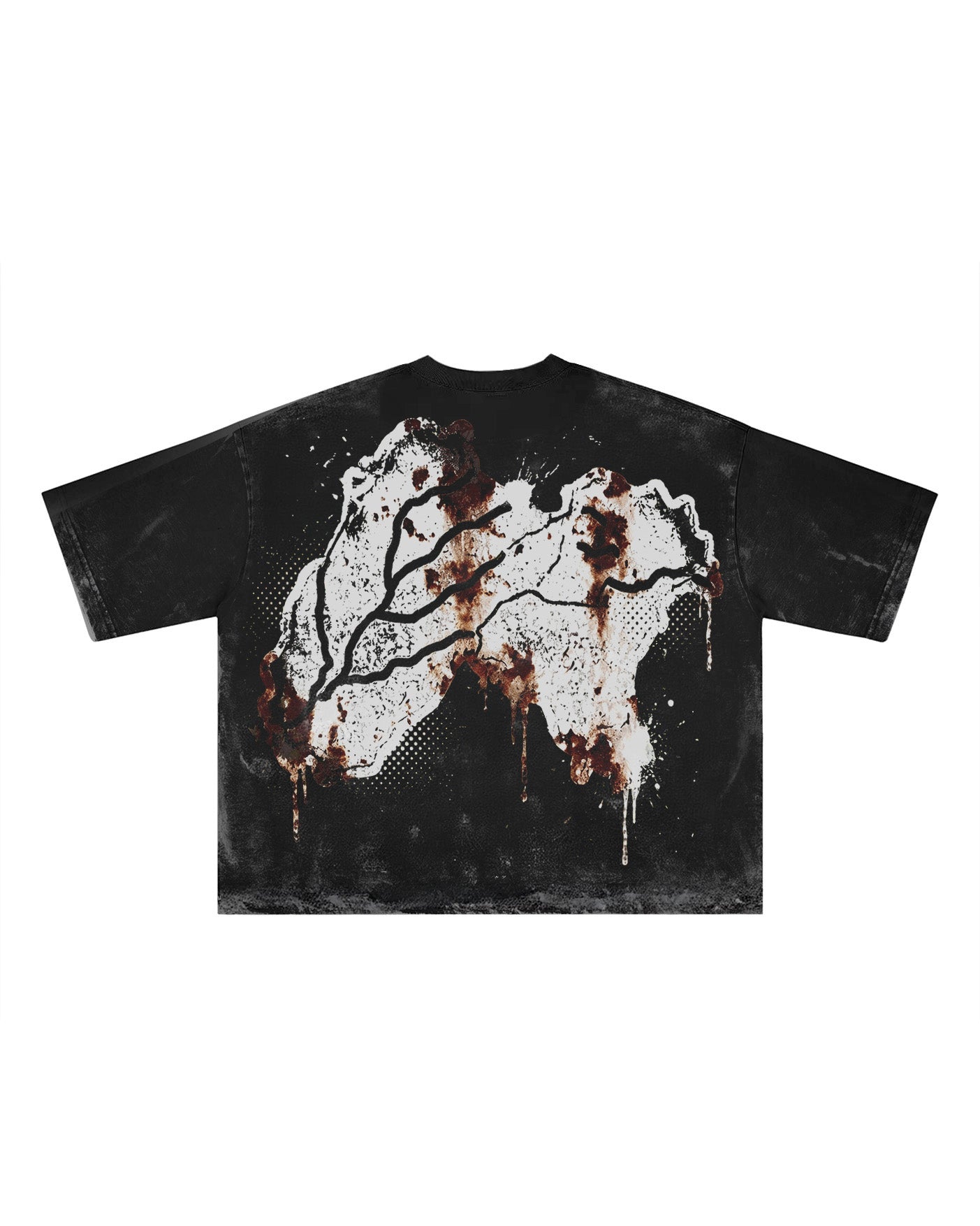 PANJAB CORE FADED T-SHIRT