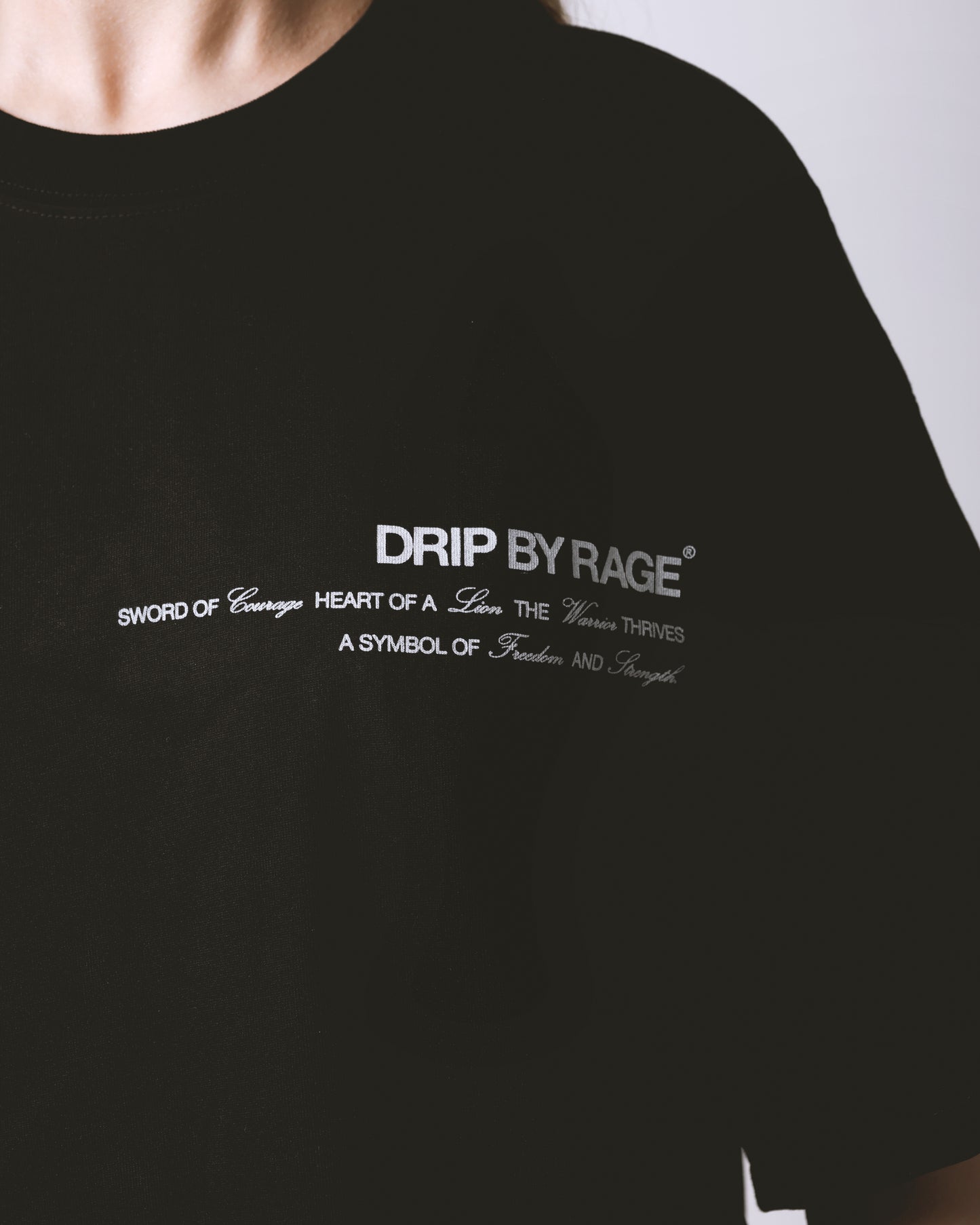 SHIELD OF COURAGE T-SHIRT