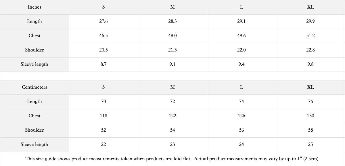 SEIZE AND RULE OVERSIZED FADED T-SHIRT GREY