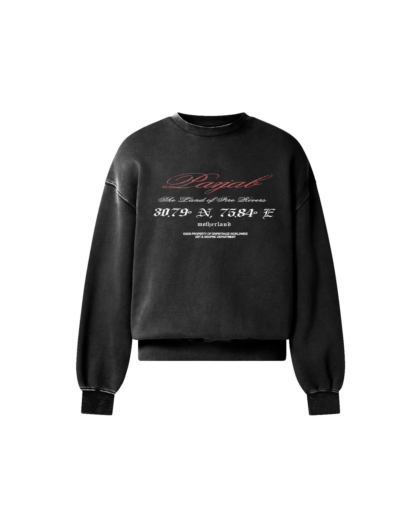 PANJAB WORLD FADED SWEATSHIRT