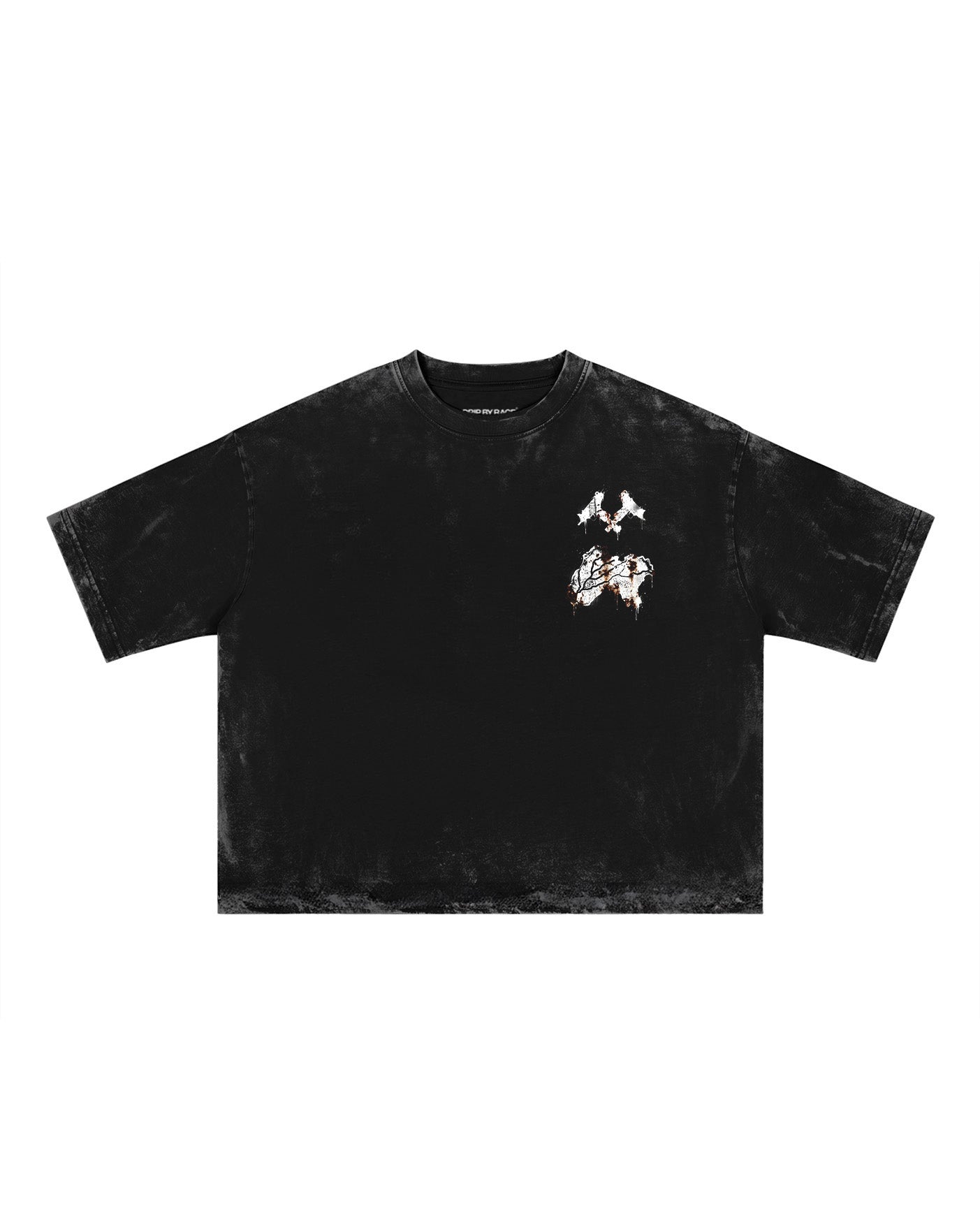 SEIZE AND RULE V2 FADED T-SHIRT