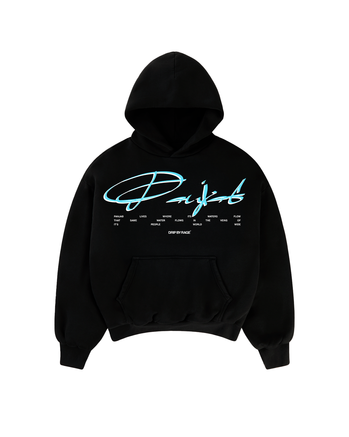 WATER OF PANJAB BOXY HOODIE