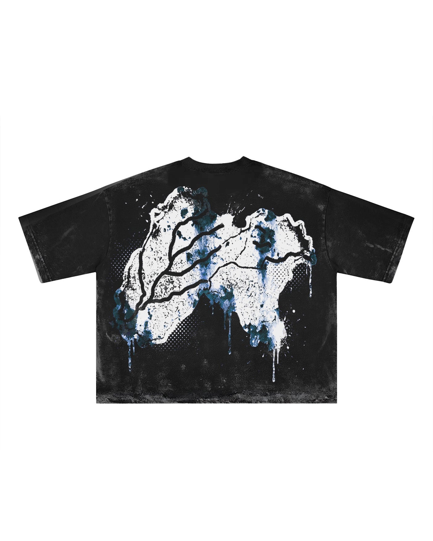PANJAB CORE FADED T-SHIRT