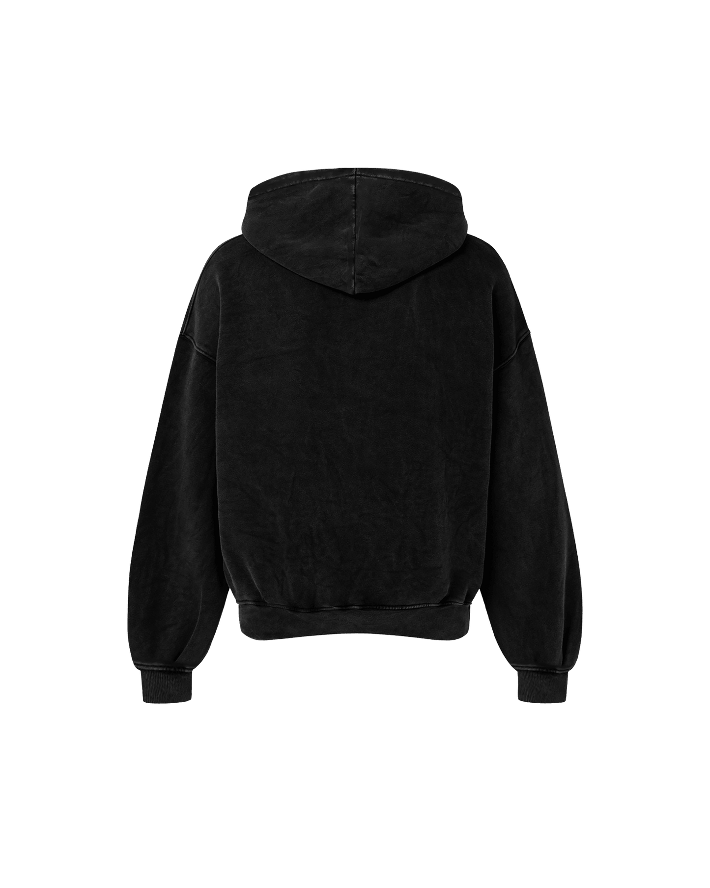 LION OF PANJAB OVERSIZED FADED HOODIE - Drip by Rage