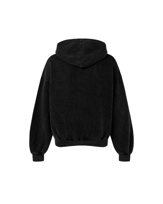 LION OF PANJAB OVERSIZED FADED HOODIE - Drip by Rage